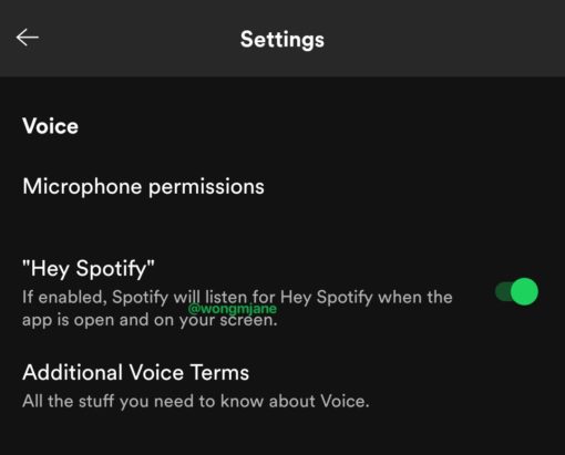 Spotify is working on a voice assistant