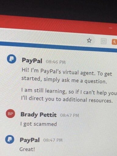 A screenshot of a Paypal virtual agent conversation with a customer. The customer says 'I got scammed' and the virtual agent replies 'great!'